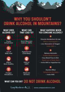 Alcohol Infographic
