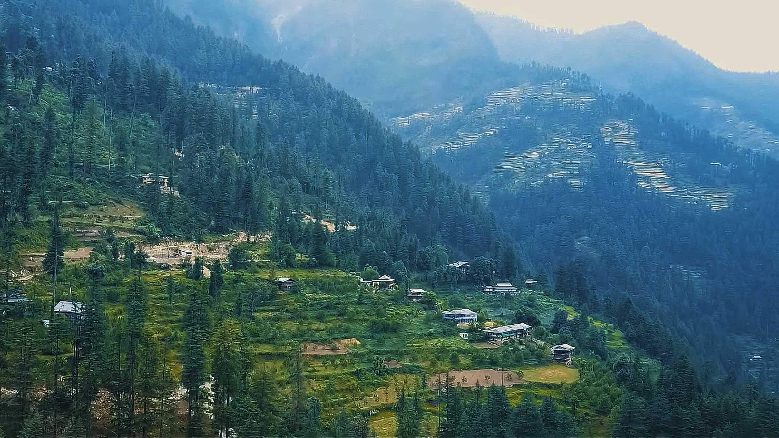 Tirthan Valley Manali Camp Wanderers